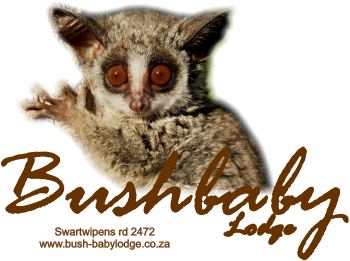 Bushbaby  Lodge Swartwipens rd 2472www.bush-babylodge.co.za